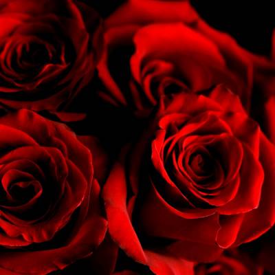 Specjalne dodatki powitalne